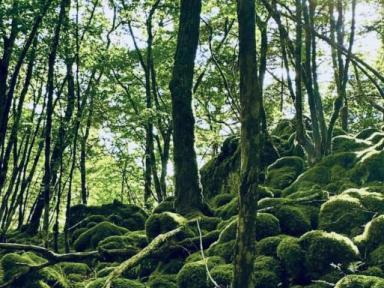 ～雪解け後の外壁の汚れや苔の繁殖～